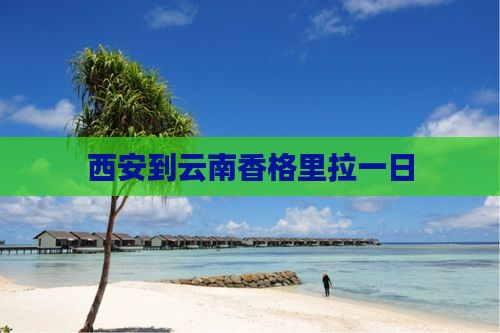 西安到云南香格里拉一日