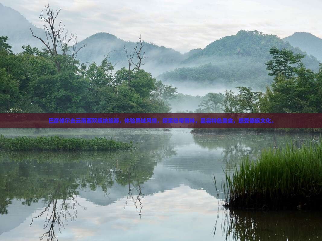 巴彦倬尔去云南西双版纳旅游