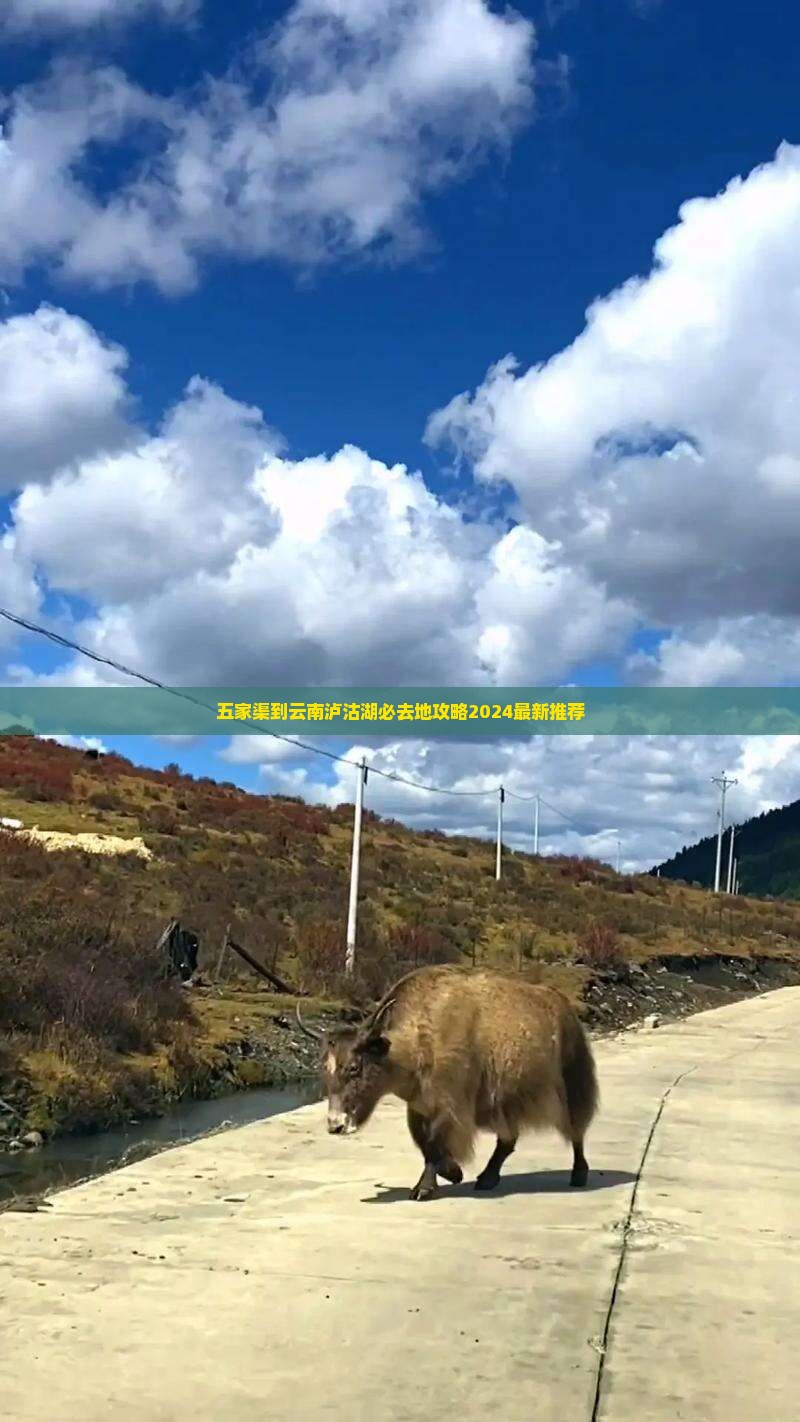 五家渠到云南泸沽湖必去地