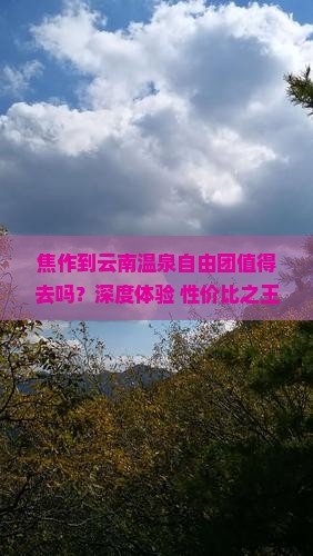 焦作到云南温泉自由团