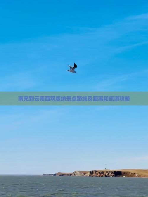 南充到云南西双版纳景点