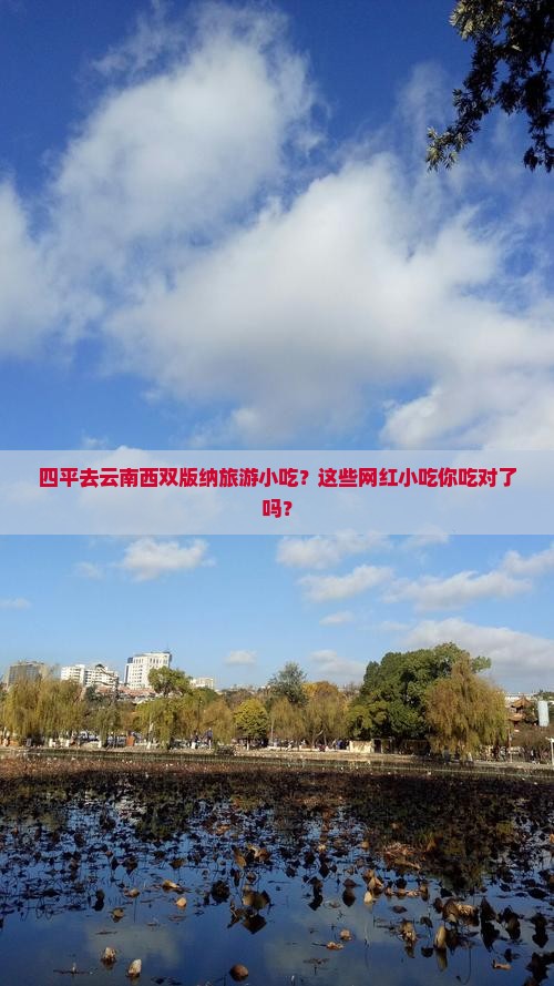 四平去云南西双版纳旅游小吃