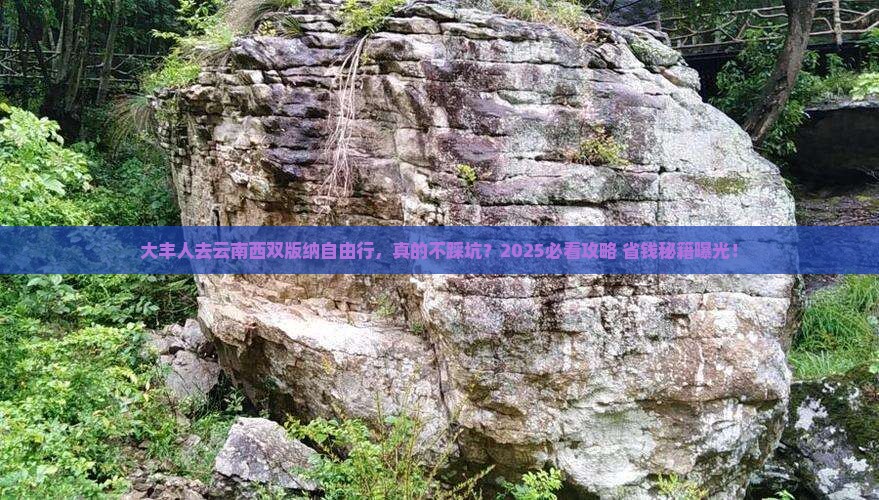 大丰去云南西双版纳自由行