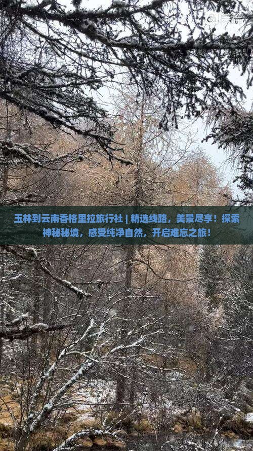 玉林到云南香格里拉旅行社