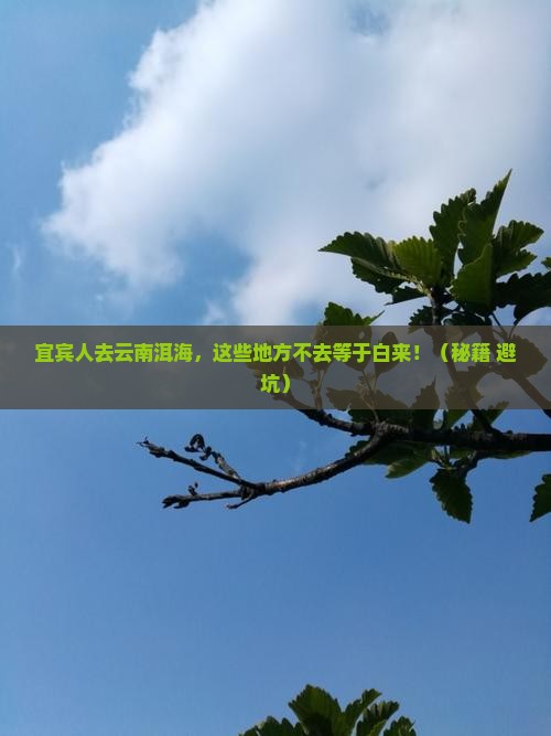 宜宾去云南洱海必去地