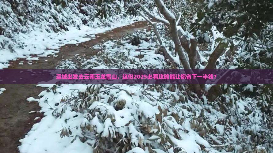 运城去云南玉龙雪山旅行社