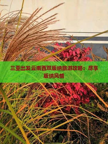 三亚去云南西双版纳团体旅游