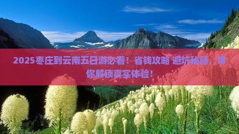 枣庄到云南五日游