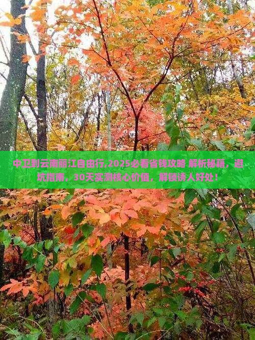 中卫到云南丽江自由行