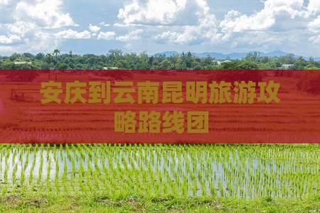 安庆到云南昆明旅游