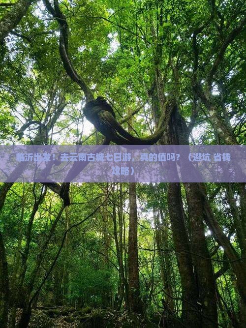 临沂去云南古城七日游