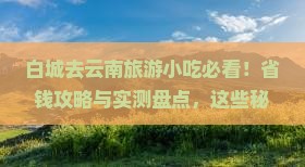 白城去云南旅游小吃