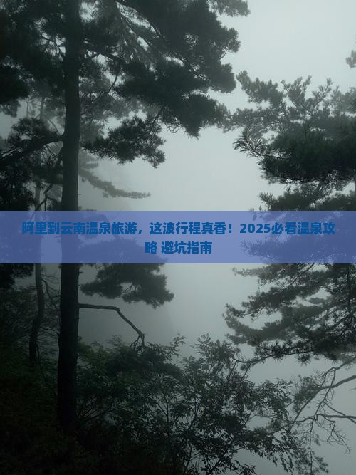 阿里到云南温泉旅游