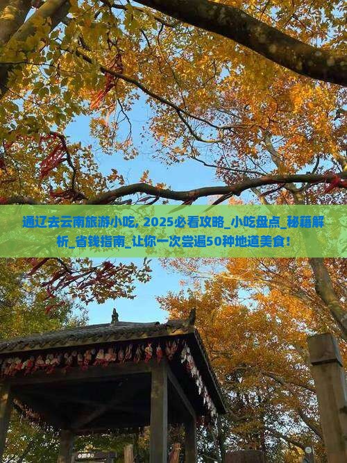 通辽去云南旅游小吃