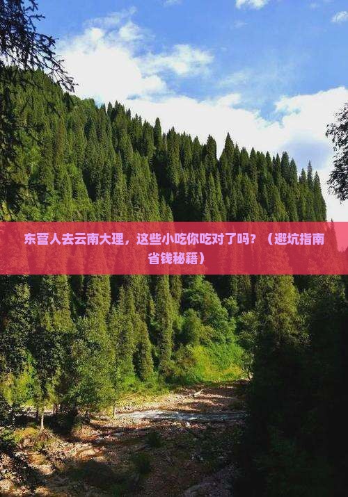 东营去云南大理旅游小吃