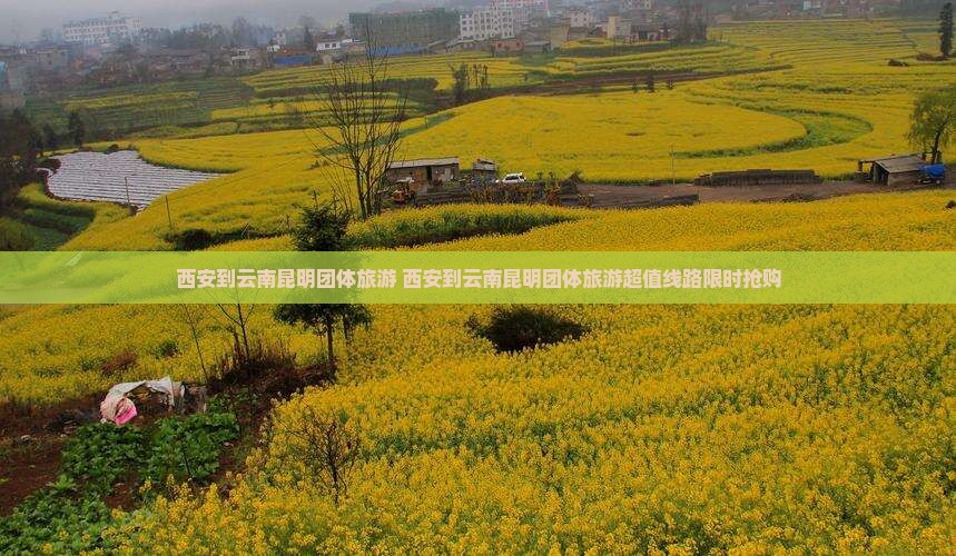 西安到云南昆明团体旅游