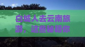 白城去云南旅游