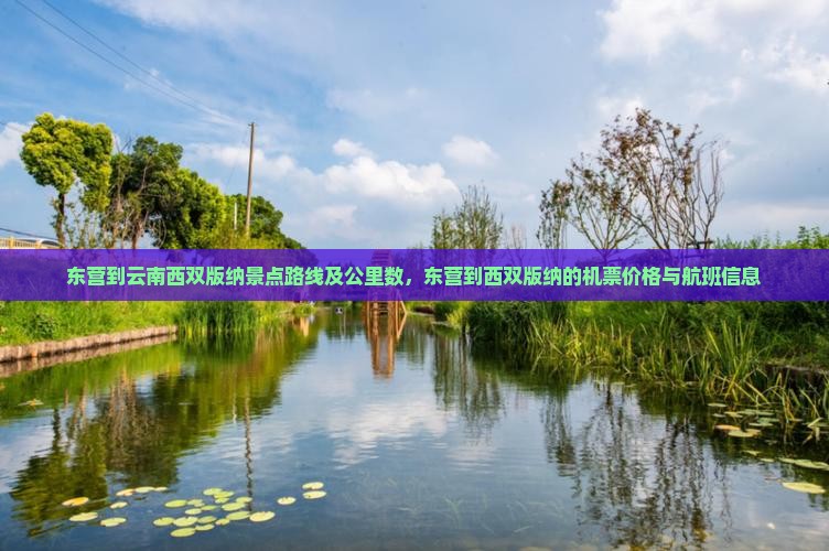 东营到云南西双版纳景点