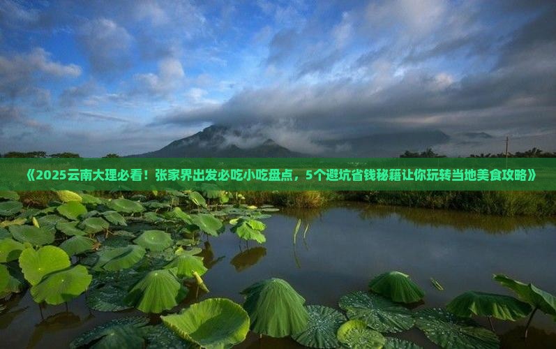 张家界去云南大理旅游小吃