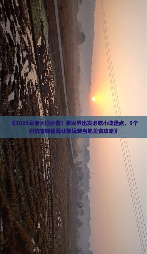 张家界去云南大理旅游小吃