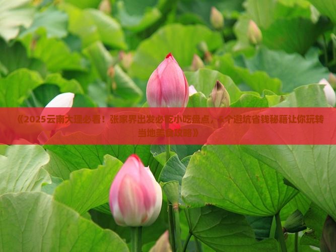 张家界去云南大理旅游小吃