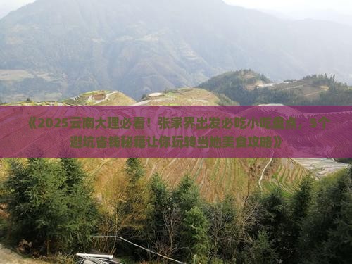 张家界去云南大理旅游小吃