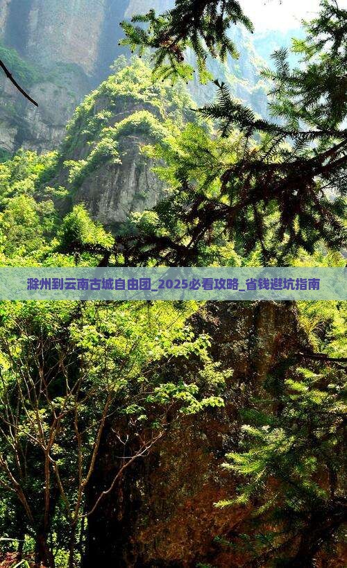 滁州到云南古城自由团