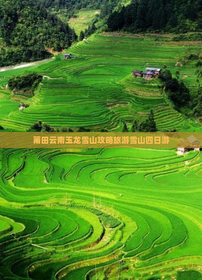 莆田去云南玉龙雪山四日游