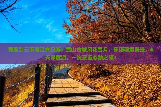 青岛到云南丽江六日游