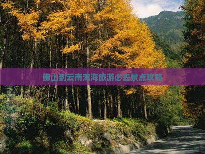 佛山到云南洱海必去地