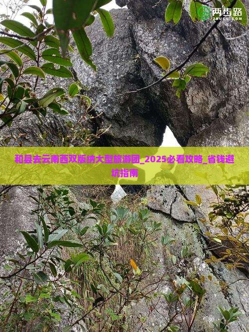 和县去云南西双版纳大型旅游团