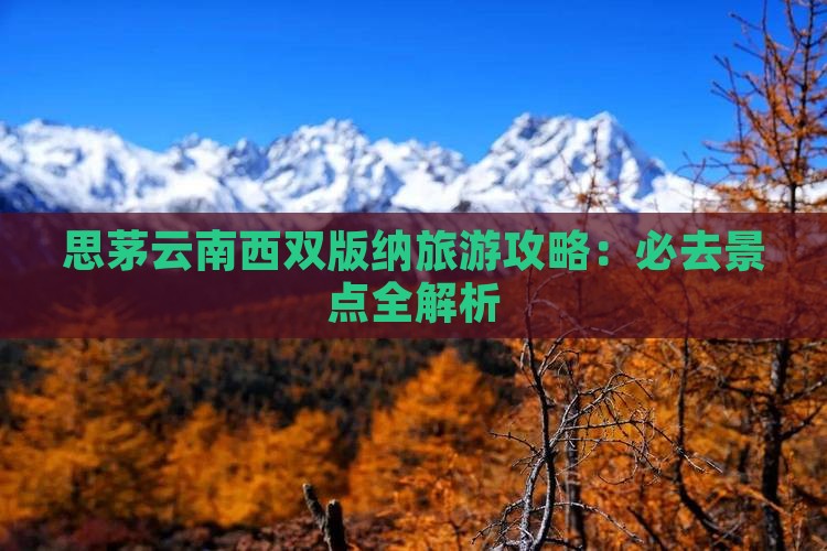 思茅去云南西双版纳景点