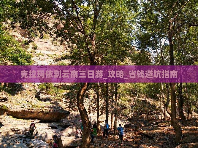 克拉玛依到云南三日游 克拉玛依到云南三日游