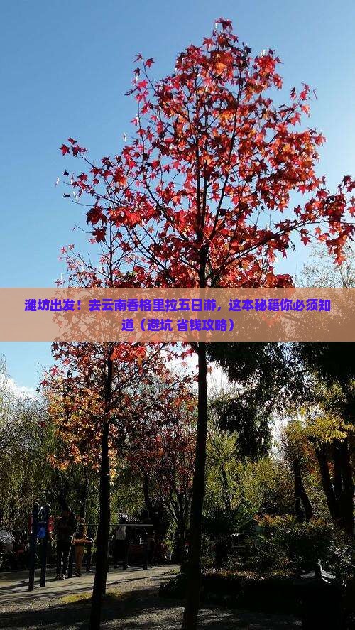 潍坊去云南香格里拉五日游
