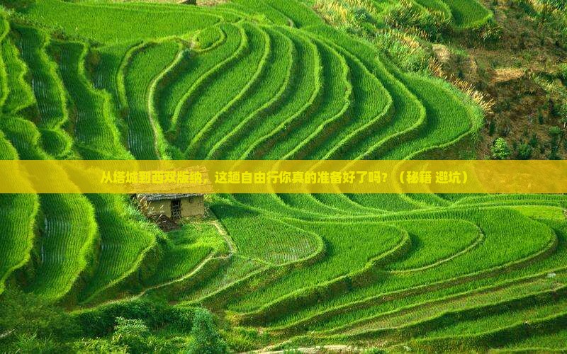 塔城去云南西双版纳自由行
