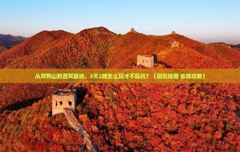 双鸭山到云南西双版纳旅行社