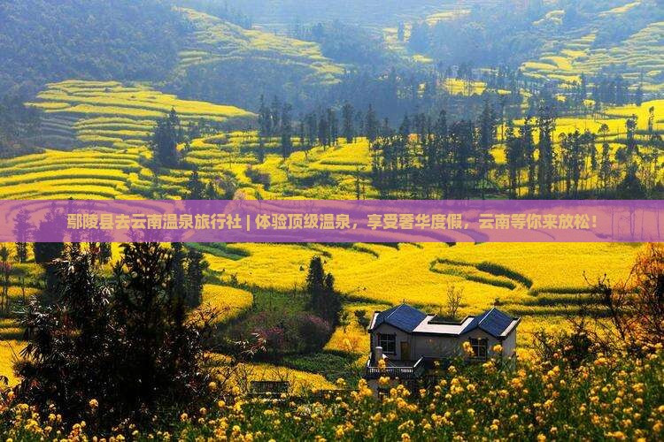 鄢陵县去云南温泉旅行社