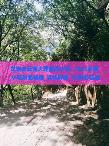 龙岩去云南大理旅游小吃