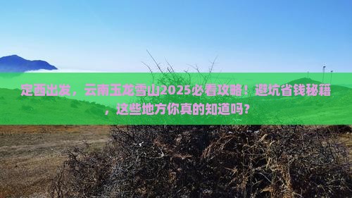 定西去云南玉龙雪山必去地