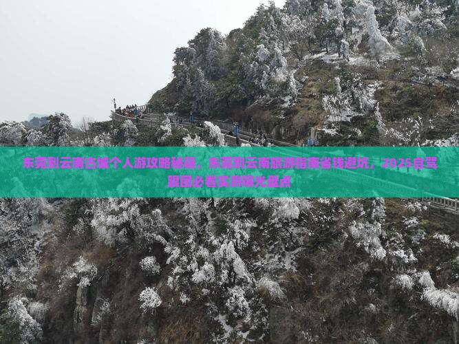 东莞到云南古城个人游