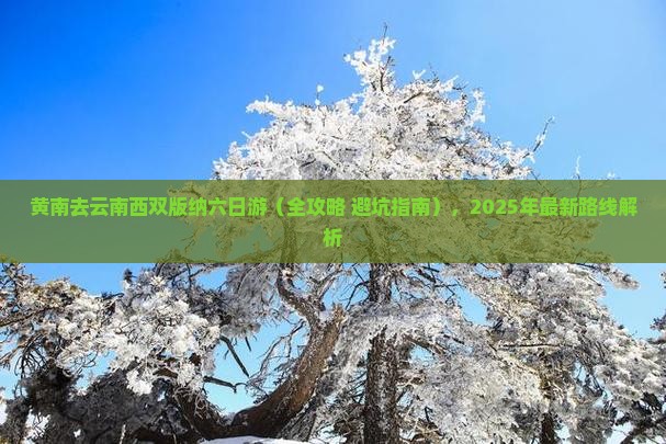 黄南去云南西双版纳六日游