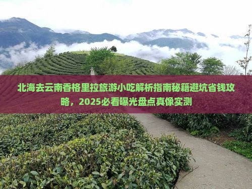 北海去云南香格里拉旅游小吃