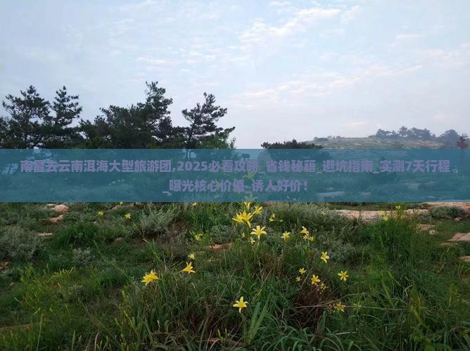 南昌去云南洱海大型旅游团