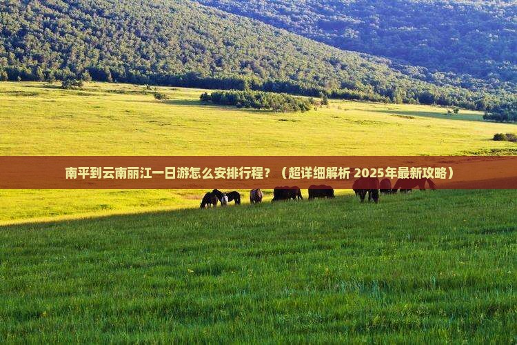 南平去云南丽江一日