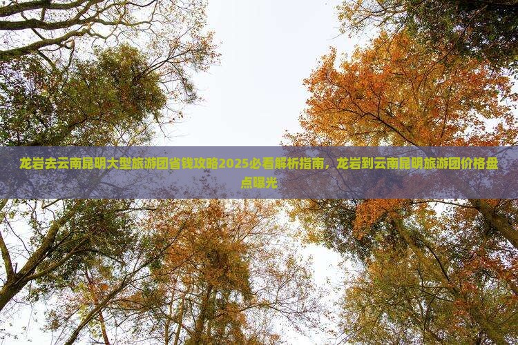龙岩去云南昆明大型旅游团