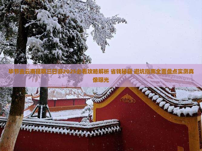 毕节去云南昆明三日游