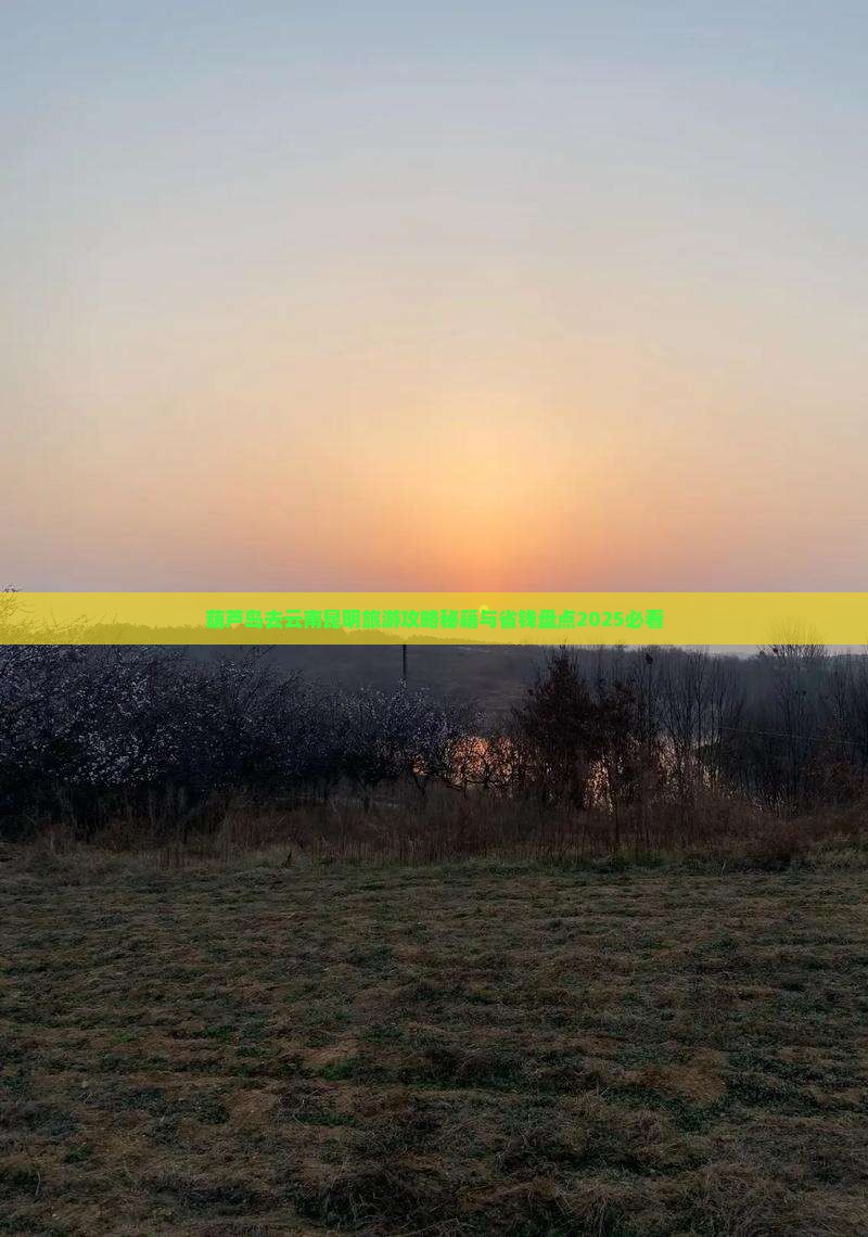 葫芦岛去云南昆明景点