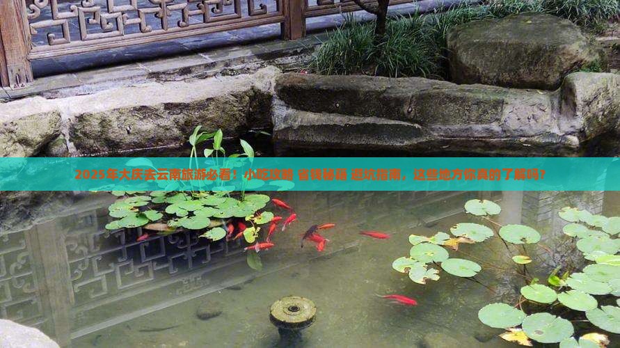 大庆去云南旅游小吃 大庆去云南旅游小吃