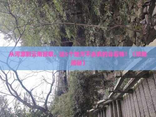 河源到云南昆明必去地
