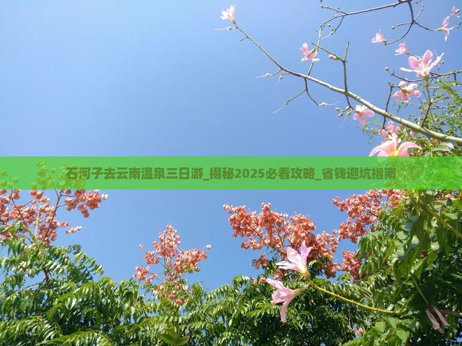 石河子去云南温泉三日游 石河子去云南温泉三日游